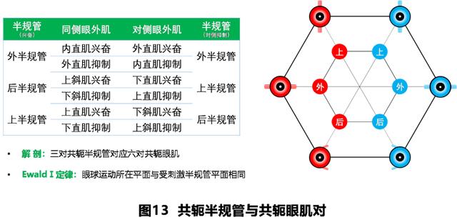 如何判读四柱八字