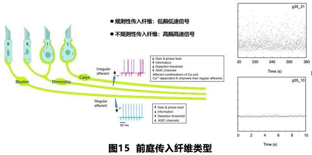 如何判读四柱八字