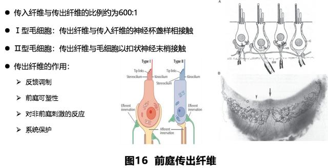 如何判读四柱八字