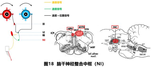 如何判读四柱八字