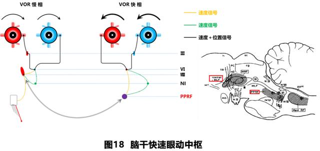 如何判读四柱八字