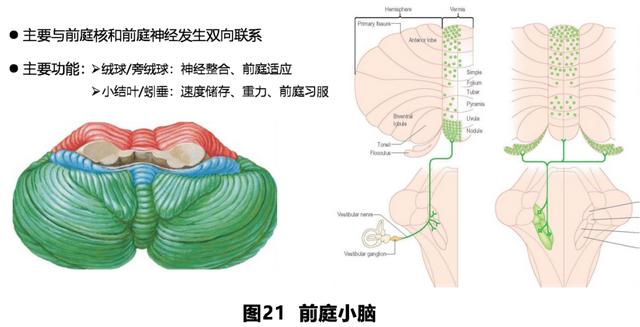 如何判读四柱八字