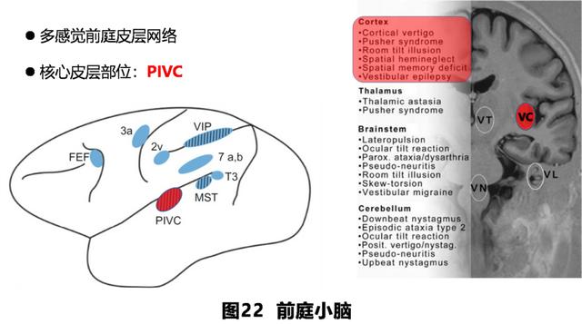 如何判读四柱八字