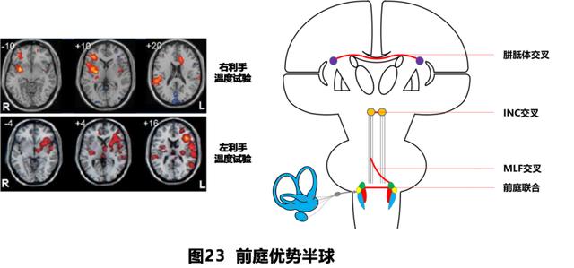 如何判读四柱八字