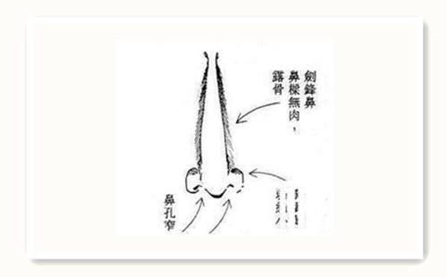 女命鼻子运程