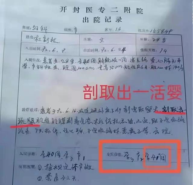 我想儿子的命运如何