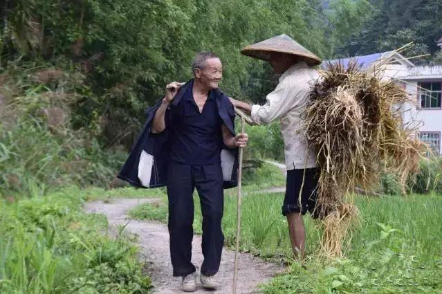 属狗六月初六出生命运如何