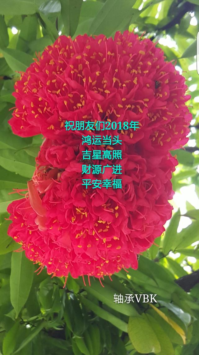 属牛的今年8月运势如何