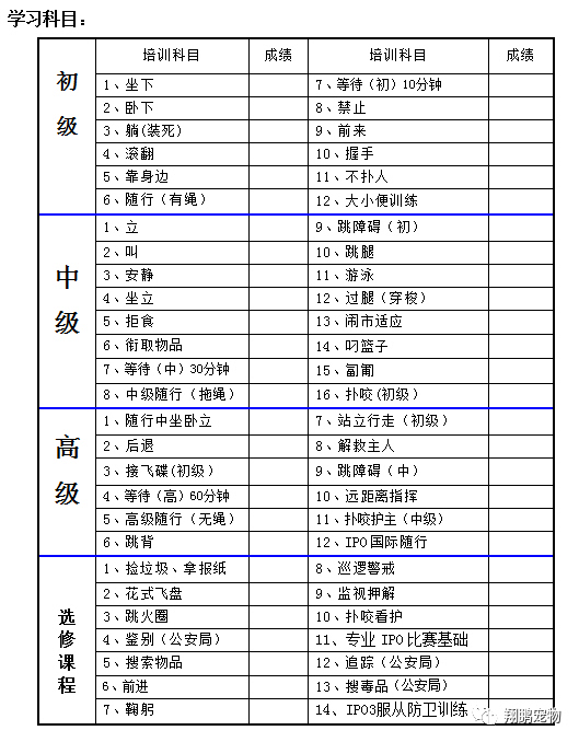 2.8两命运如何