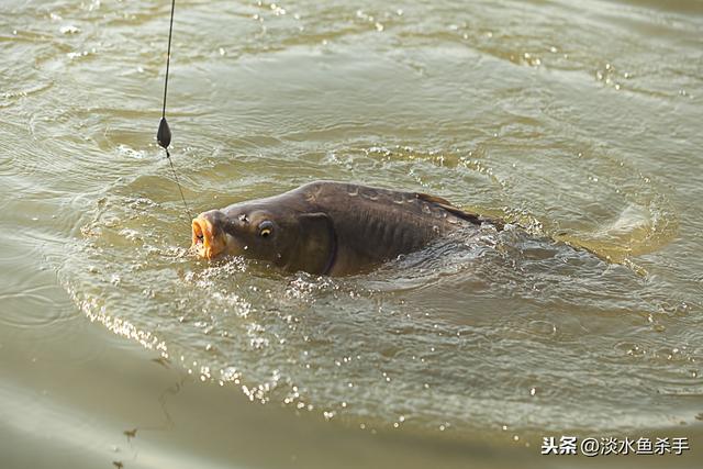 单沟如何连接八字环