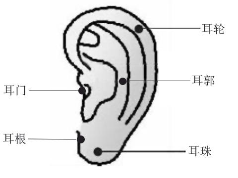 耳朵长痣的人运势如何