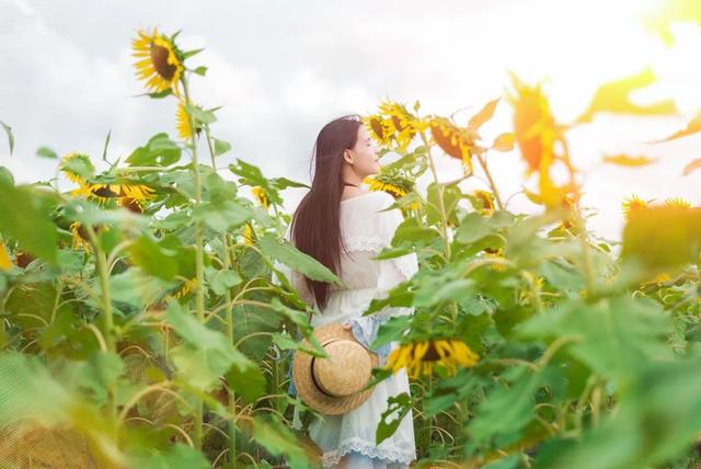 八字带桃花的女命人品好不好