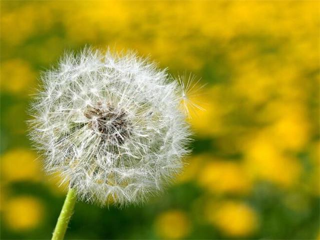 7月15鬼节出生的男孩命运如何