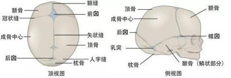 男额头扁命运如何官网