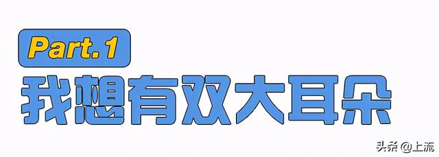 耳朵小又低于眼睛的男人命运如何