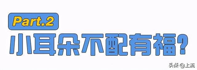 耳朵小又低于眼睛的男人命运如何