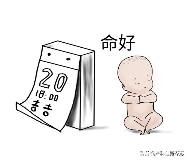 9点出生的人命运如何