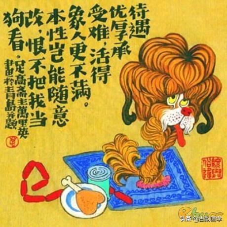 属鼠的猪年运势如何