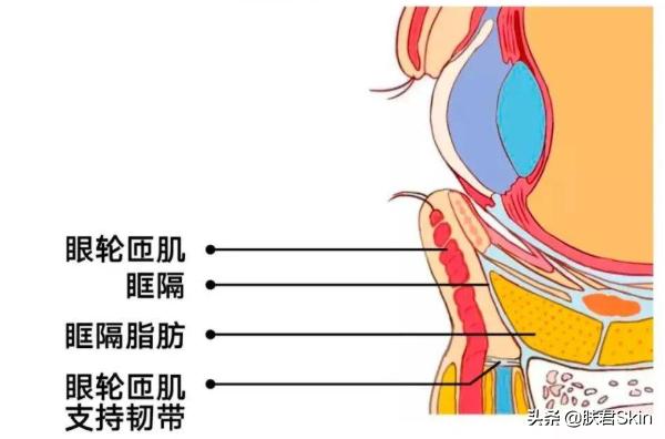 有泪沟纹的人命运如何