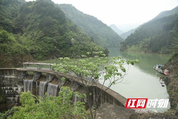 女命八字带金银库