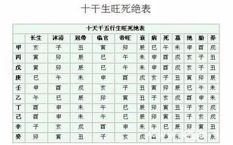 八字强旺的女命