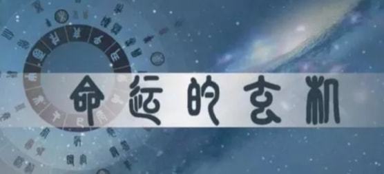 八字女命子星