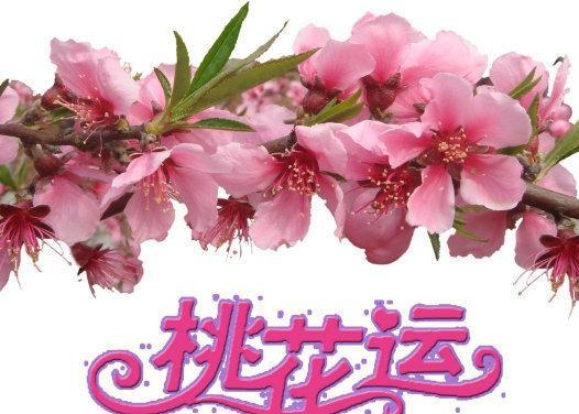 烂桃花多的女命八字都有哪些特点