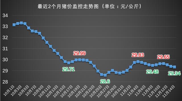 12月猪命运如何