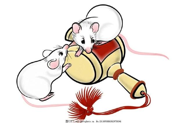 o型血属鼠的人性格命运如何