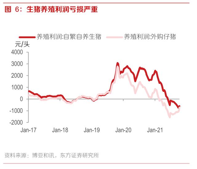 明年四月的牛宝宝命运如何