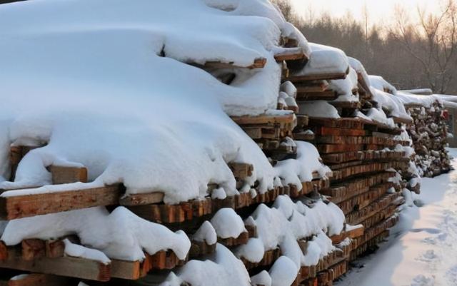 小雪出生的人命运如何