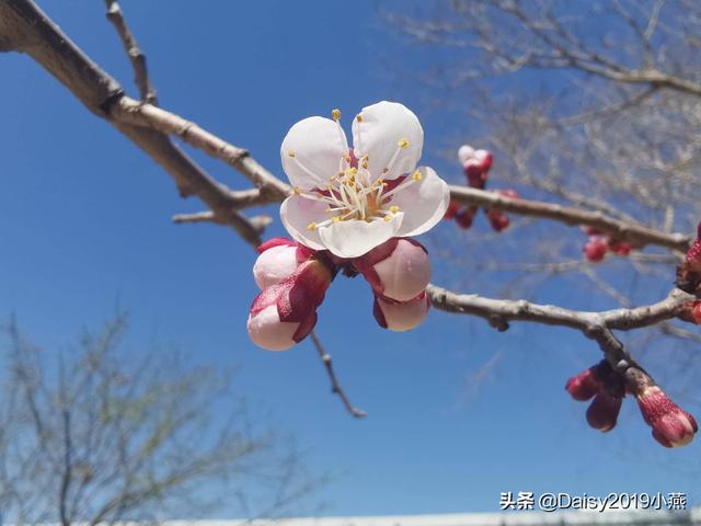 命运不好的出生时辰女命