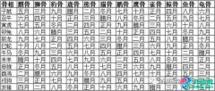 1991年农历2月生命运如何