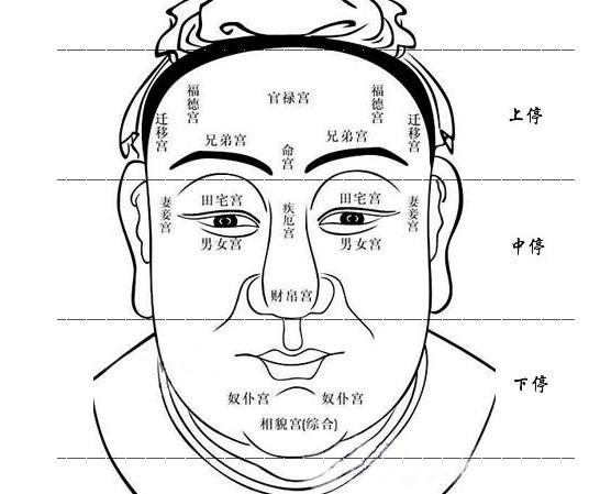 如何从面相看健康运势从你的脸