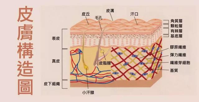 额头前面有八字纹如何祛除