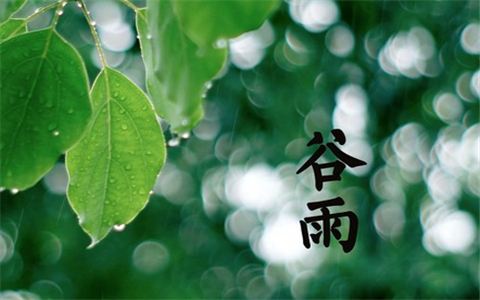 关于雨水节气出生的属牛人命运如何的信息