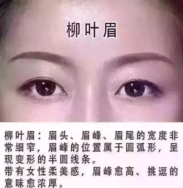 如何从眉毛间距看相看运势