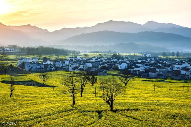 女命八字日月天克地冲