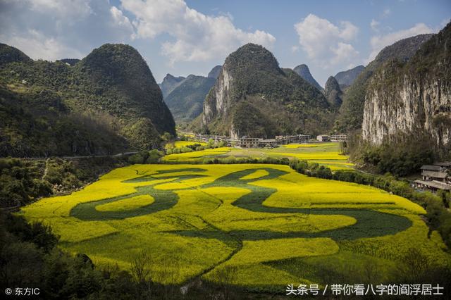 女命地支八字财多