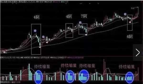 四阴四阳女命八字