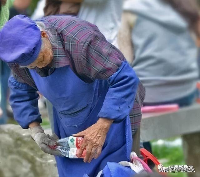 三两二钱女命属狗想知道命运