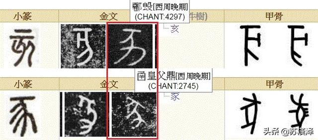 女命八字地支三个字