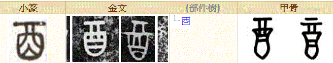 女命八字地支三个字