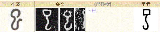 女命八字地支三个字