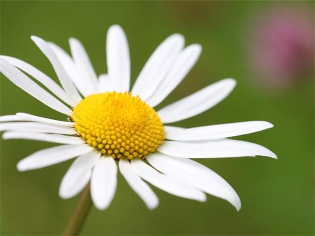 中元节出生的人命运如何