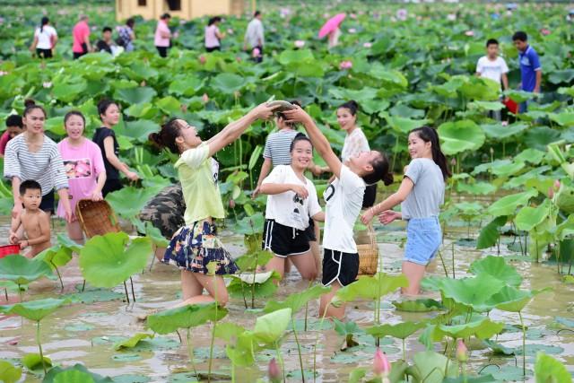 阴历六月二十四命运如何