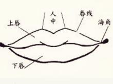 如何看面相算命图解 五官