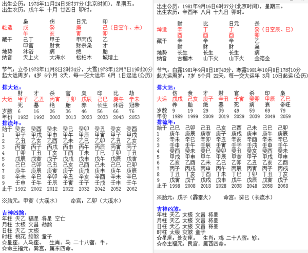 丙辰年甲午月癸巳日女命八字