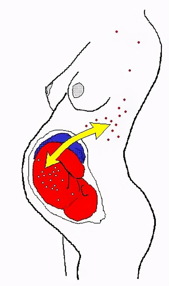 女命鬼谷子宫度算命法