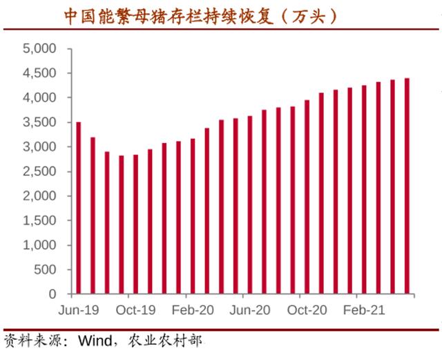 75岁猪男2021年命运如何